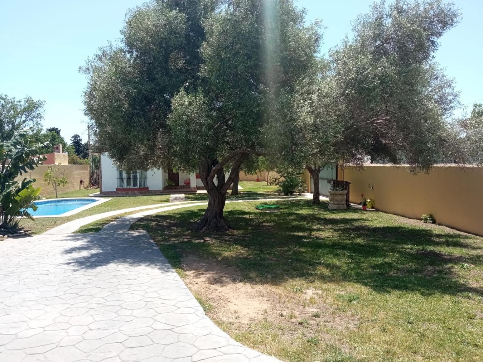 Chalet Pura Vida Chiclana de la Frontera Esterno foto